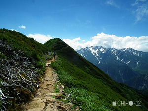登山道