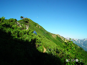 登山道
