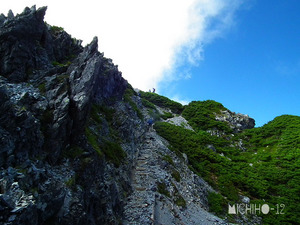 登山道