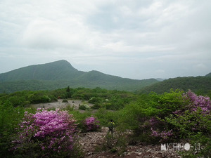 荒山