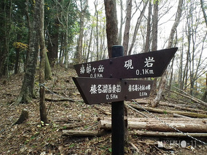 分岐