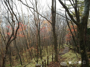 登山道