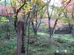 もみじの広場