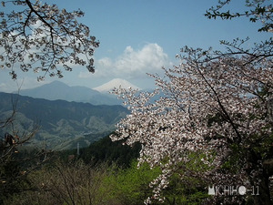 富士山