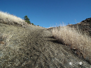 登山道
