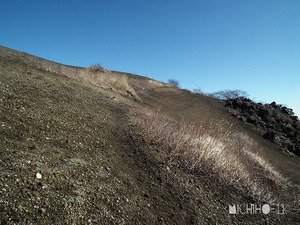 登山道