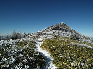 山頂