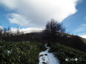 登山道