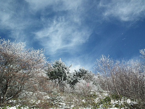 雲