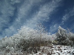 雲