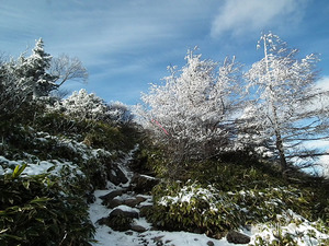 登山道
