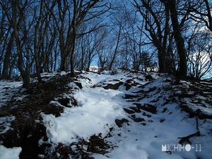 登山道