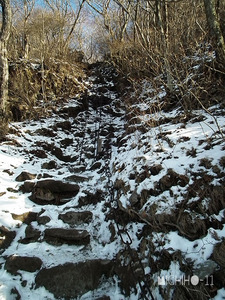 登山道