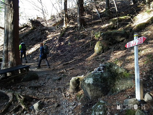 登山道