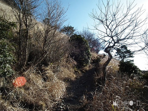 登山道