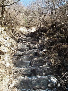 登山道