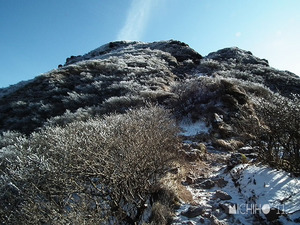 登山道