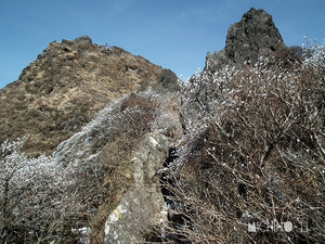 登山道