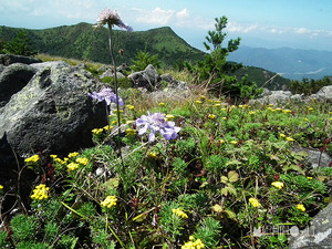 烏帽子岳