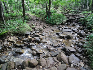 登山道