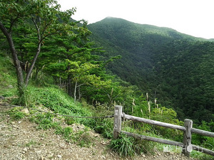 展望