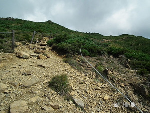 登山道