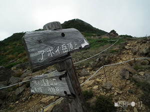 分岐