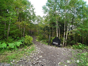 登山口