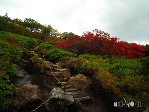 登山道