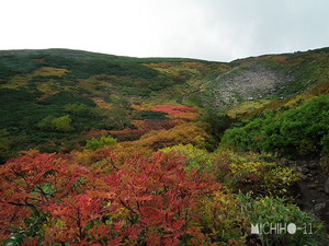 紅葉