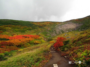 紅葉