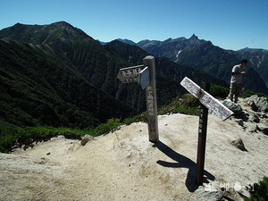 頭
