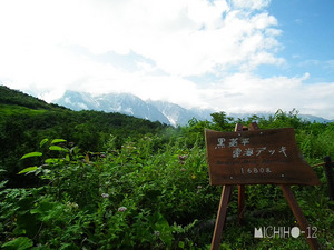 展望
