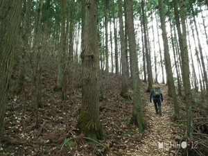 登山道