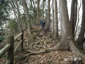 登山道