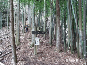 登山道