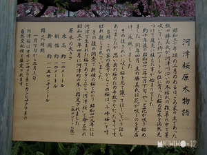 案内板