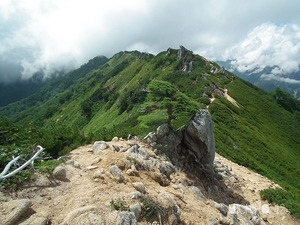 登山道