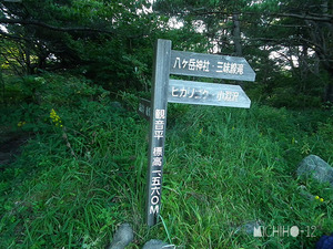 登山口