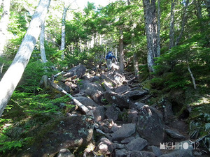 登山道