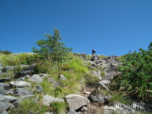 登山道