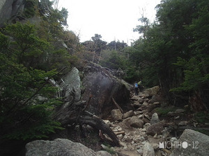 登山道