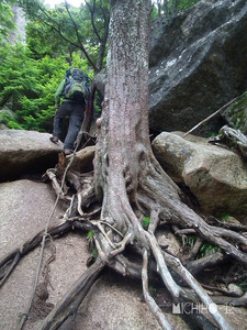 登山道