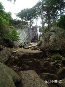 登山道