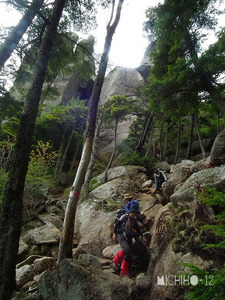 登山道
