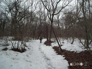残雪