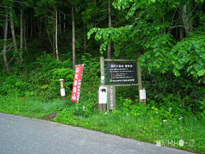 登山口