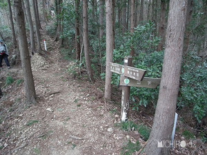 分岐