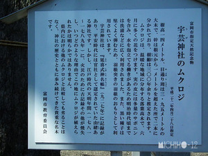 案内板