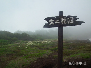 花畑